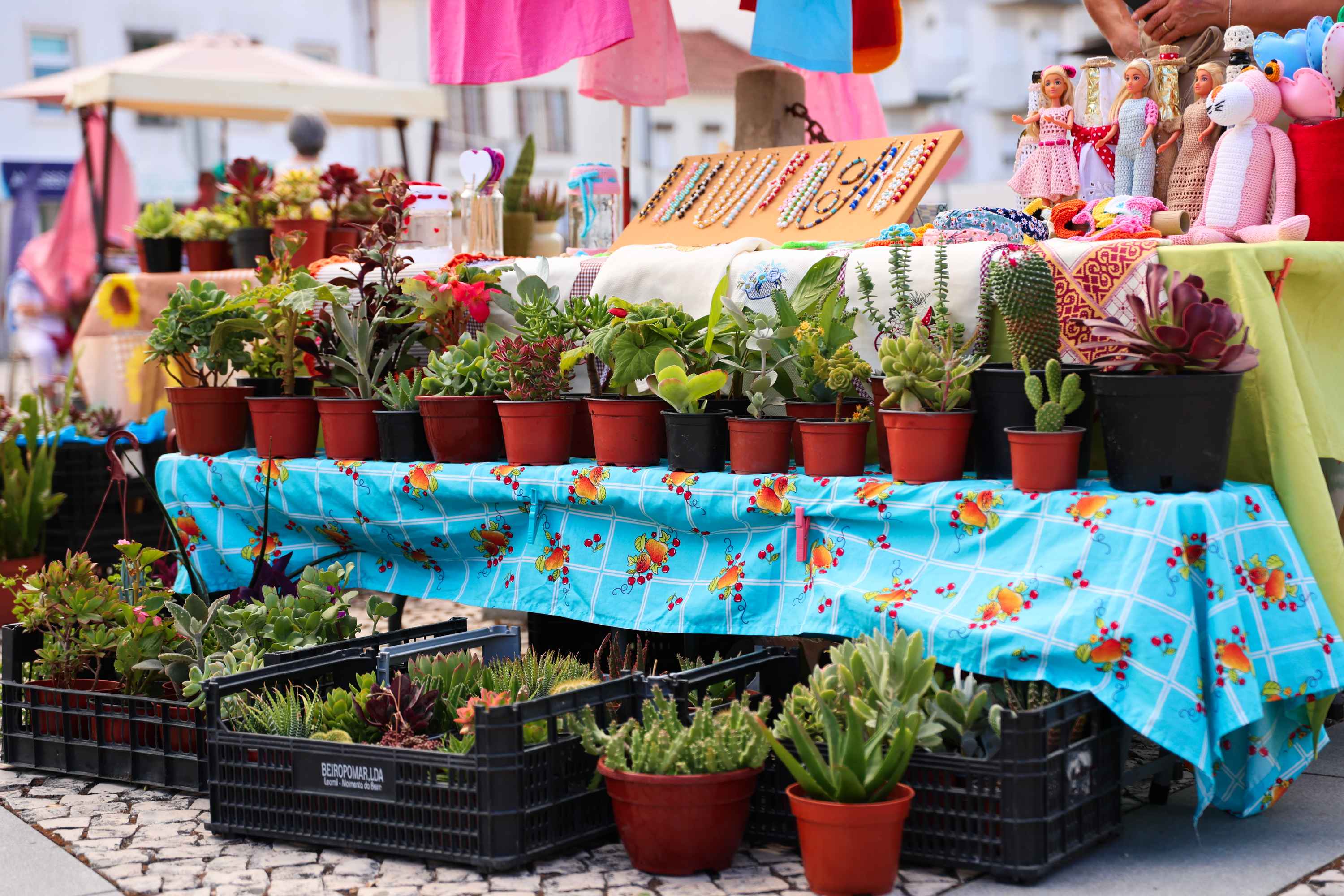 Mercados Ecorurais